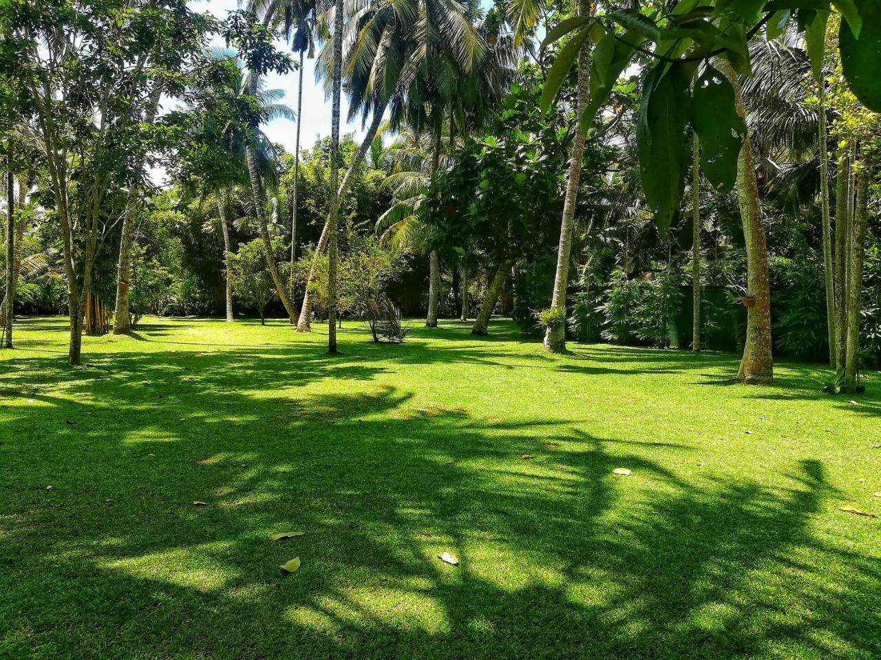 Old Parkland Hostel Galle Exteriér fotografie